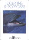 Dolphins & Porpoises